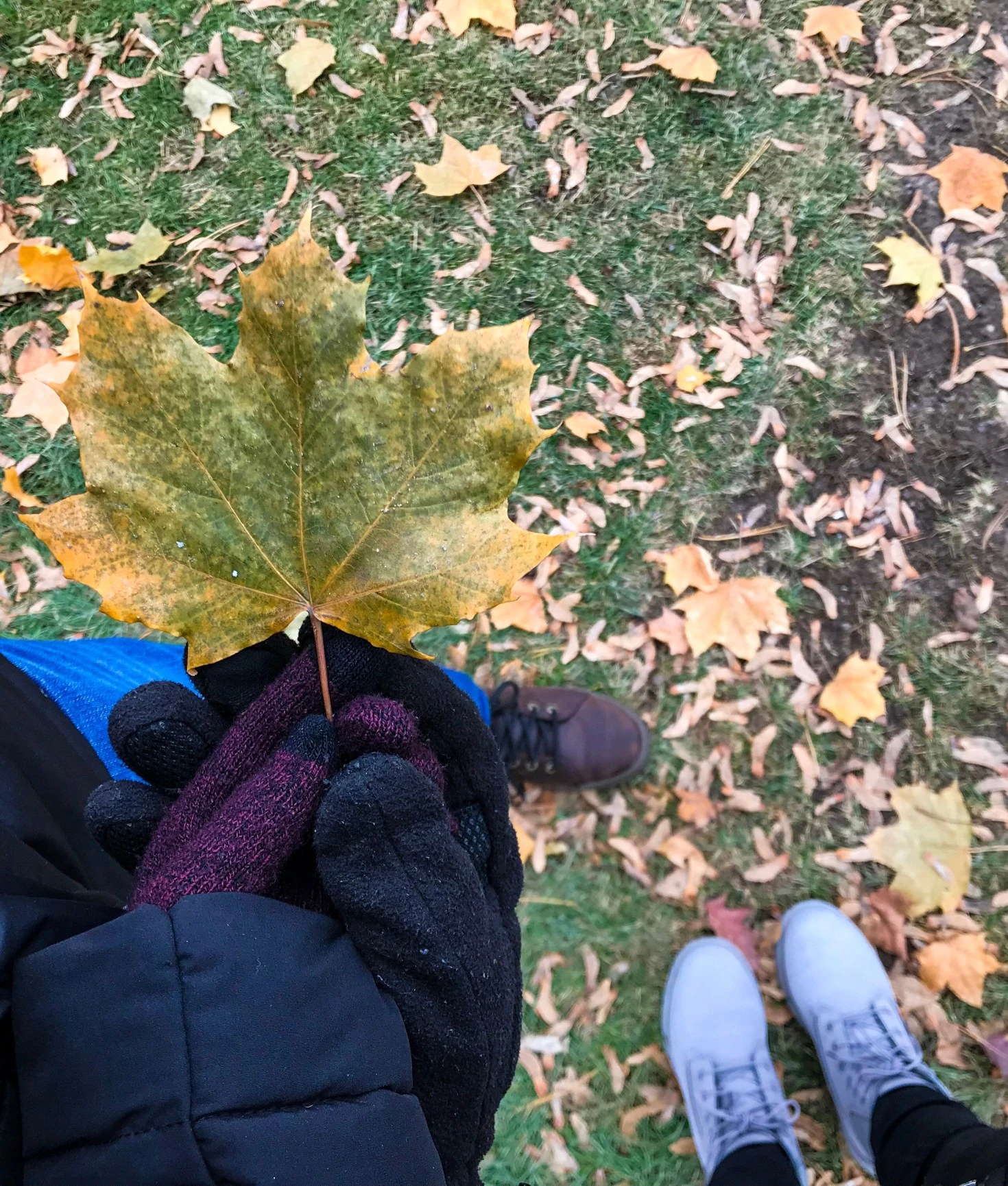 Best of Canada: Montreal like a local