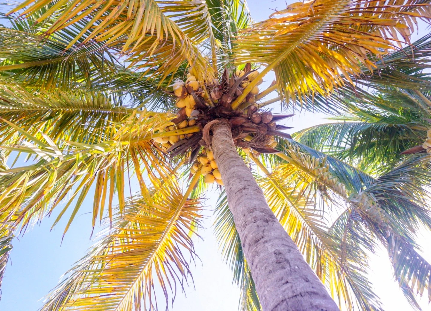 Cancun Travel Diary 2019