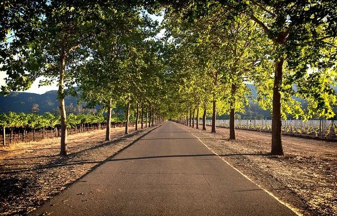 Wine o'clock weekend in Napa Valley